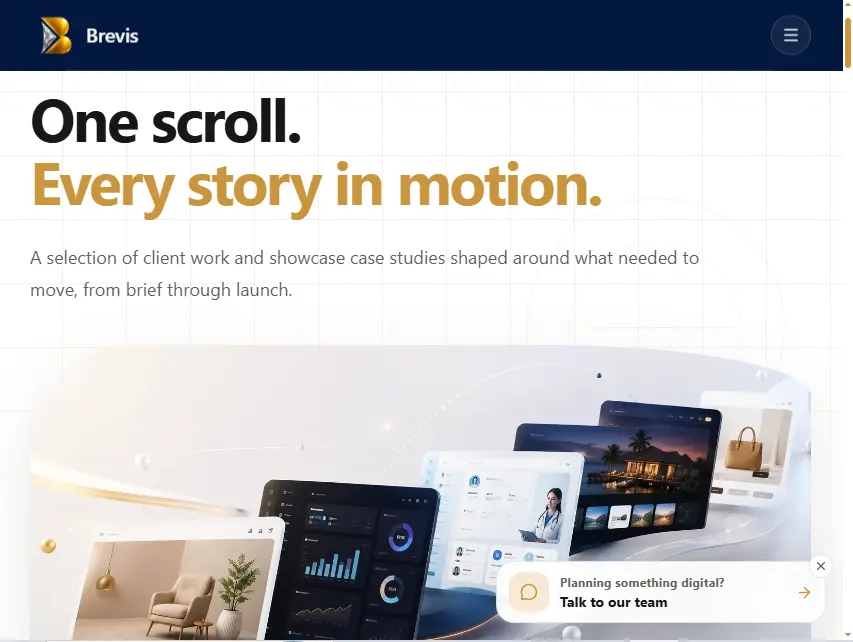 Breviscstech: Software development company